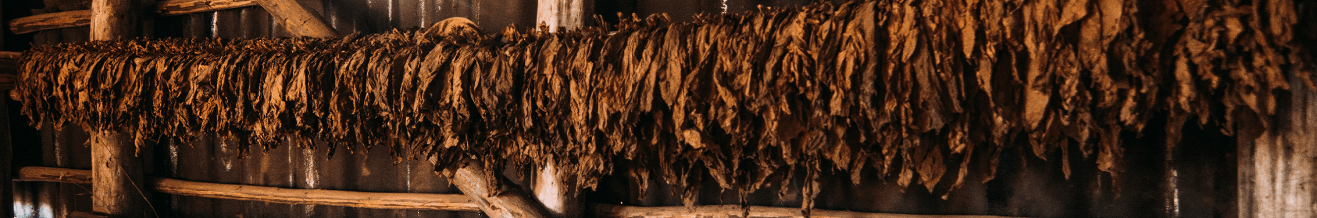 Tobacco Banner