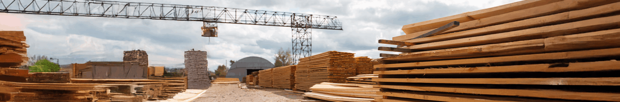 Timber Banner